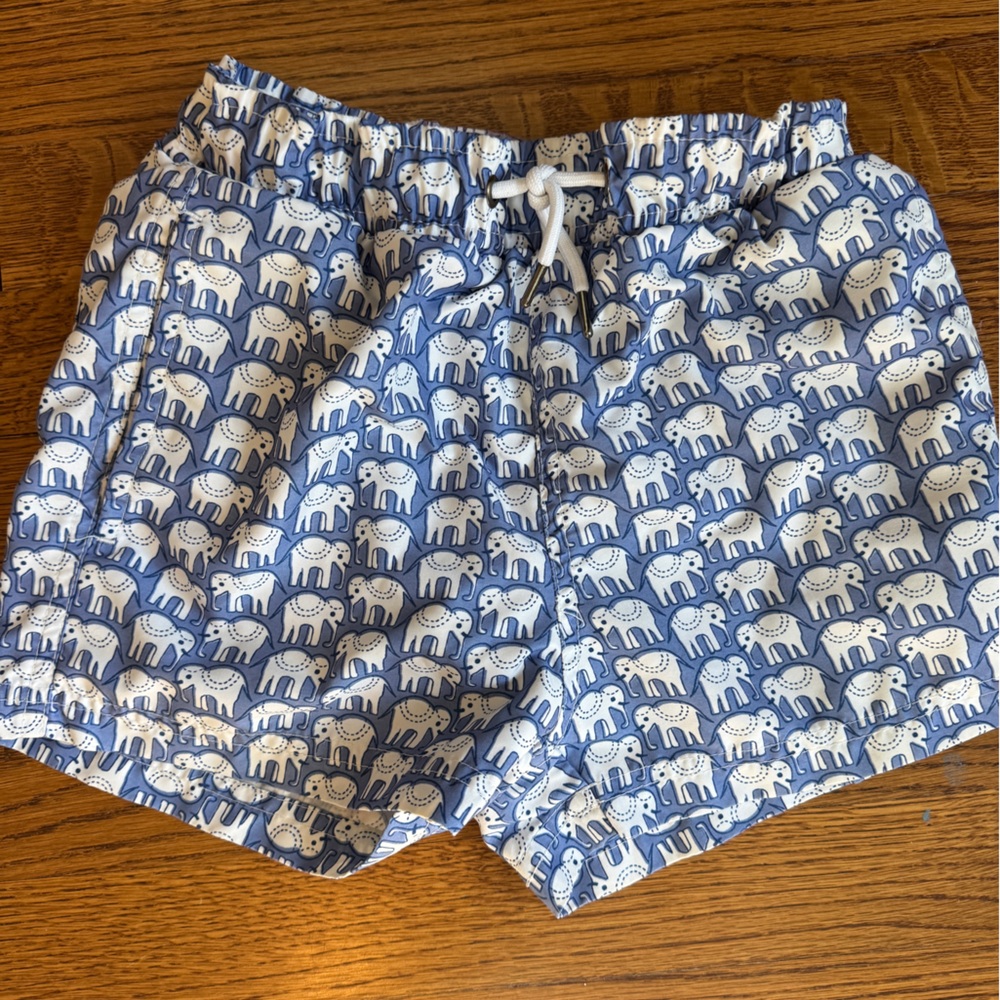 Roller Rabbit boys Bathing suit